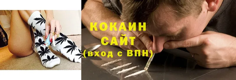 blacksprut как войти  купить закладку  Беслан  Cocaine Эквадор 